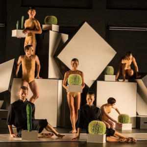 Sydney Dance Company performing Cacti as part of "De Novo".  Photo: Peter Greig.